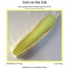 Corn on the Cob 01