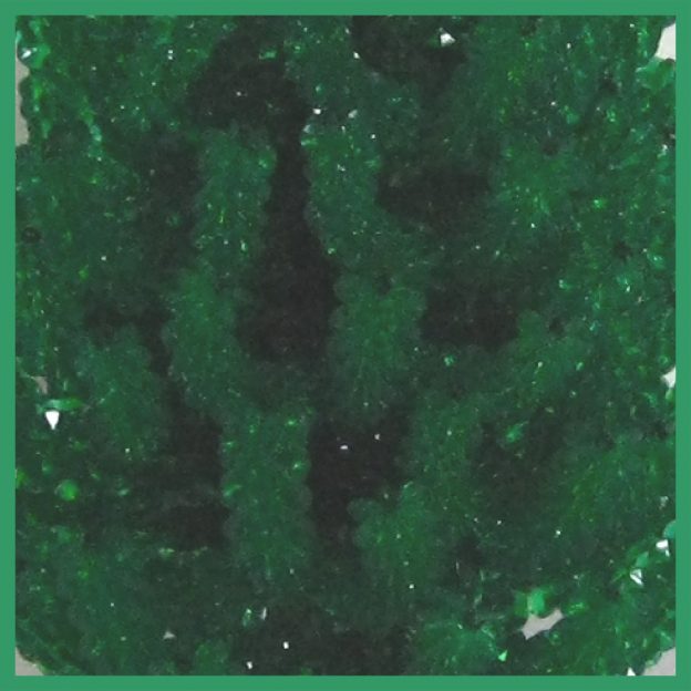 Green Tree 03